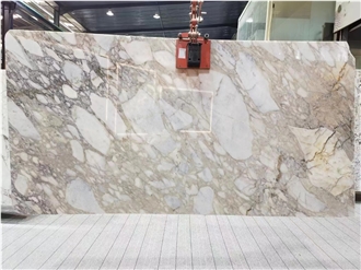 Calacatta Viola Marble Breccia Marble Slabs