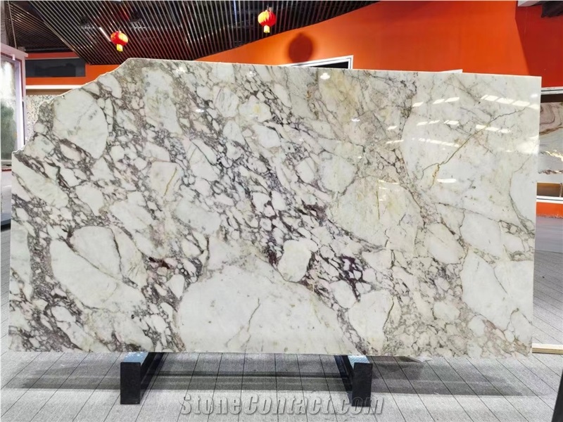 Calacatta Viola Marble Breccia Marble Slabs
