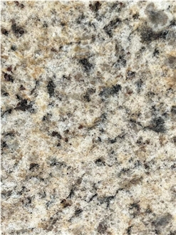 Giallo Ornamental Granite Tile Laminated Honeycomb Panels