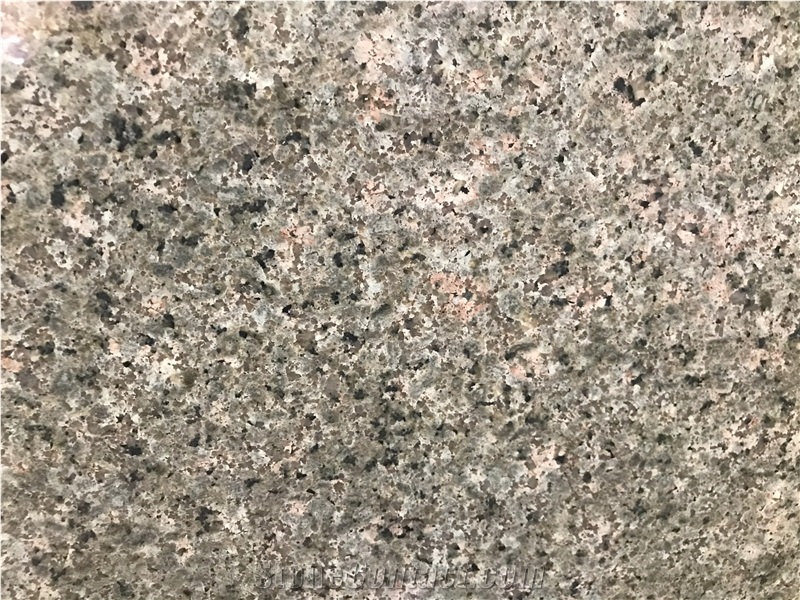 Nosara Green Granite Slabs