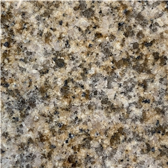 Chinese Granite G657 In Promotion Slabs