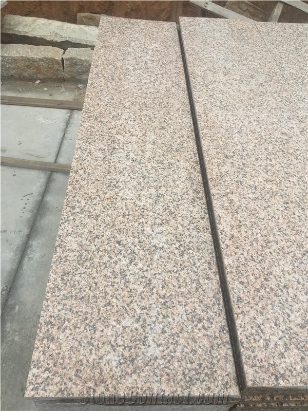 Chinese Granite G657 In Promotion Slabs