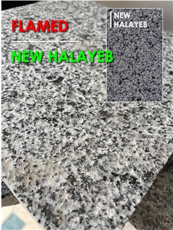 New Halayeb Granite Slabs