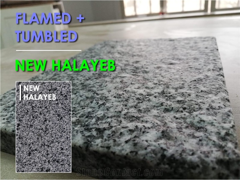 New Halayeb Granite Slabs