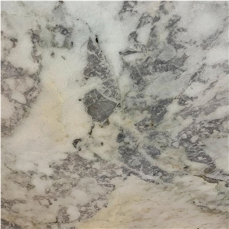Aegean Dalmatian Marble Tile