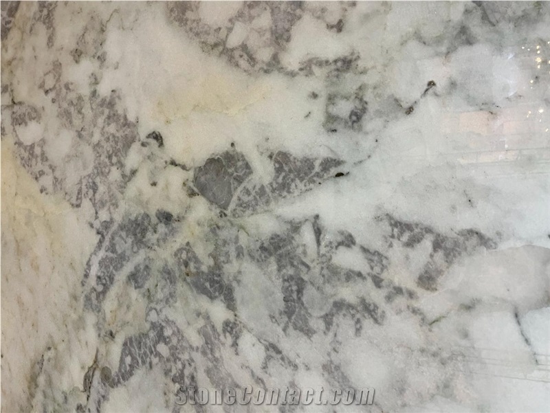 Aegean Dalmatian Marble Slab