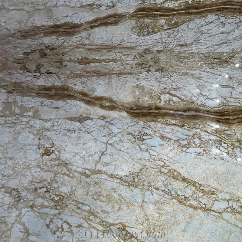 Breccia Onyta Marble importance=