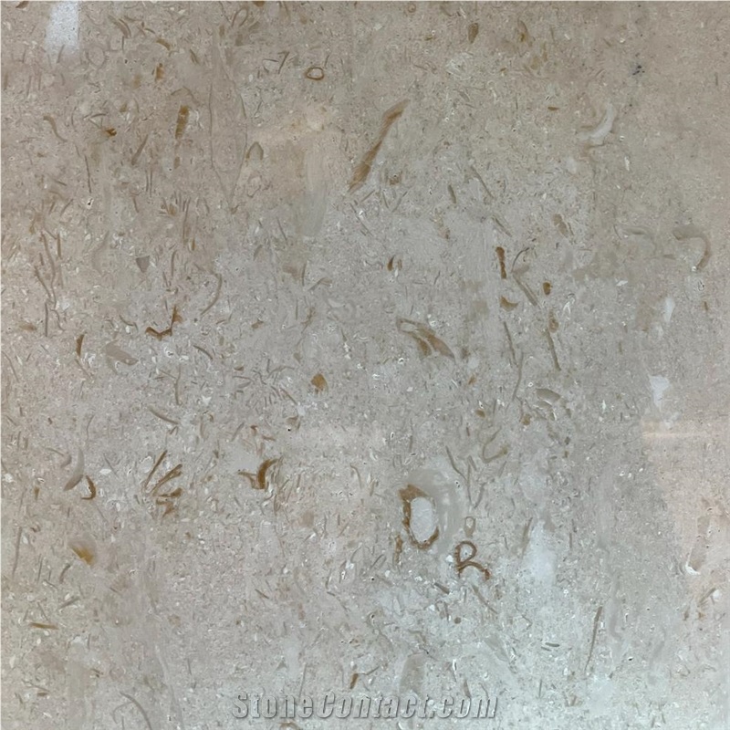 Delicato Cream Marble Tile