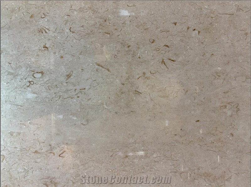 Delicato Cream Marble Slab