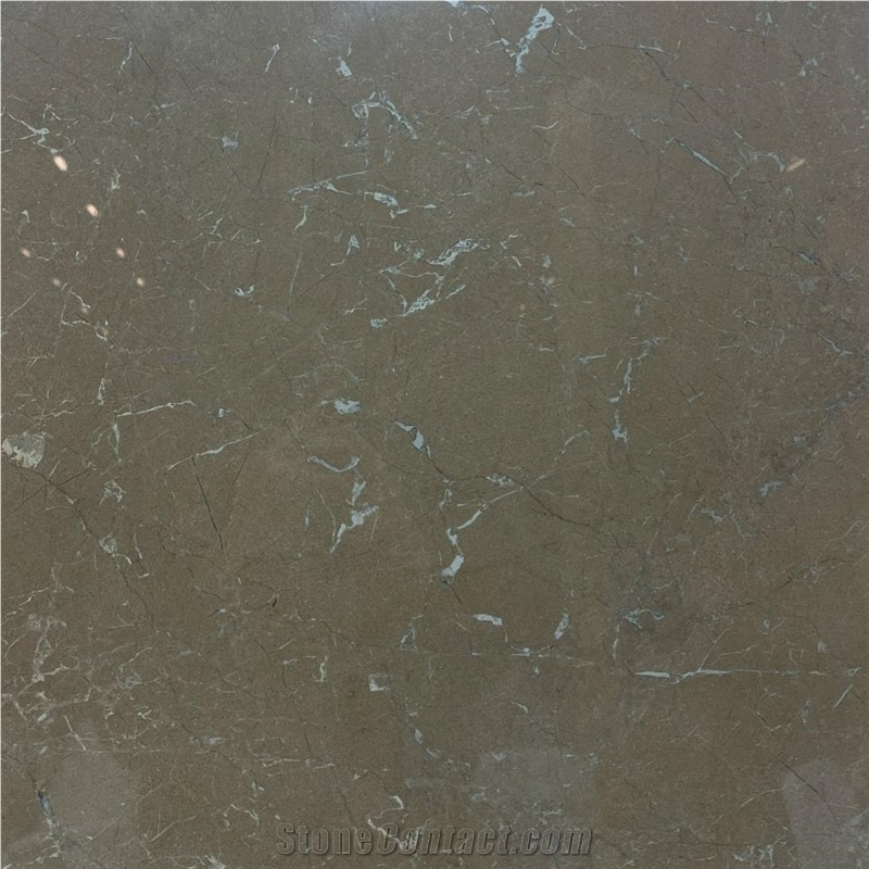 Olympos Gray Marble importance=