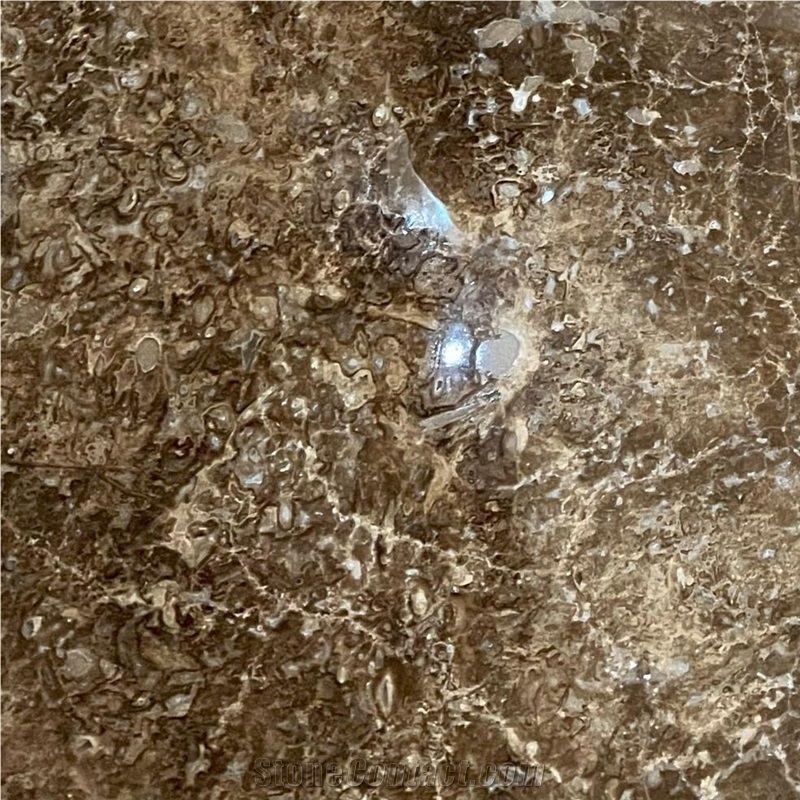 Taurus Brown Marble importance=