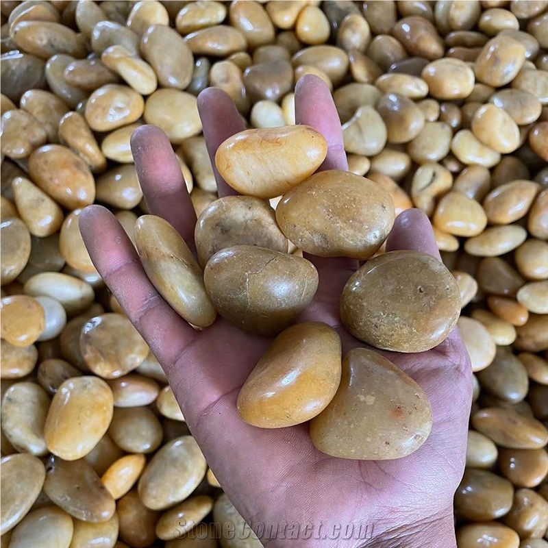 Yellow Beige Pebble Stone