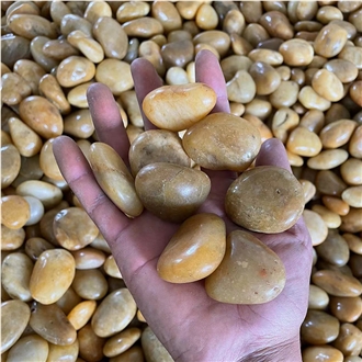 Yellow Beige Pebble Stone