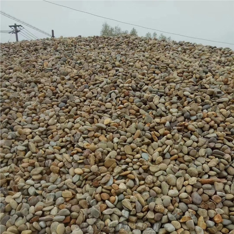 Yellow Beige Pebble Stone