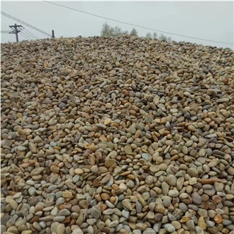 Yellow Beige Pebble Stone