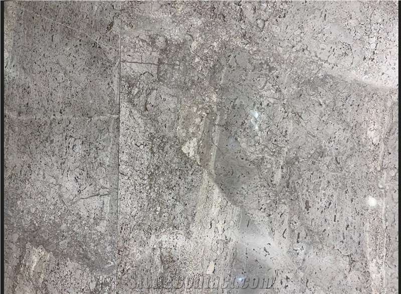 Arcadius Grey Marble Slabs