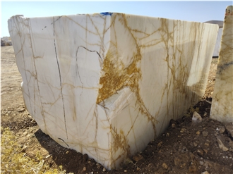 Frozen Gold Marble Blocks