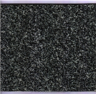 Royal Black Granite M13 Tiger Black Granite Slabs