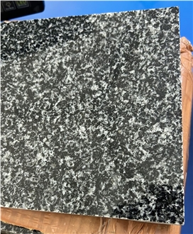 Royal Black Granite M13 Tiger Black Granite Slabs