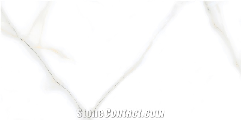 VENATO BIANCO Porcelain Tiles