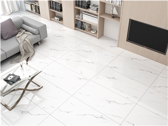 ZARA WHITE Glazed Porcelain