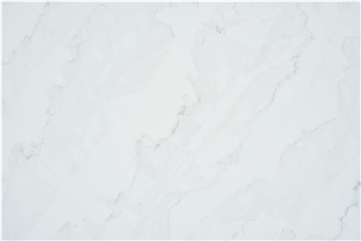 AQ86289 Thunder White Quartz Slabs