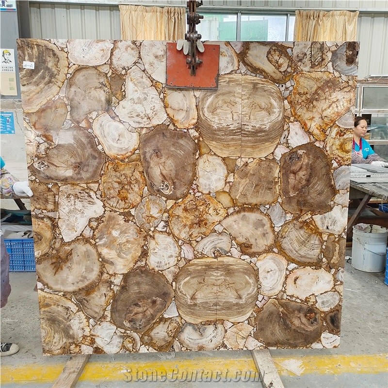 Largest Size Petrified Wood Gemstone Slabs
