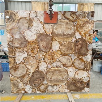 Largest Size Petrified Wood Gemstone Slabs