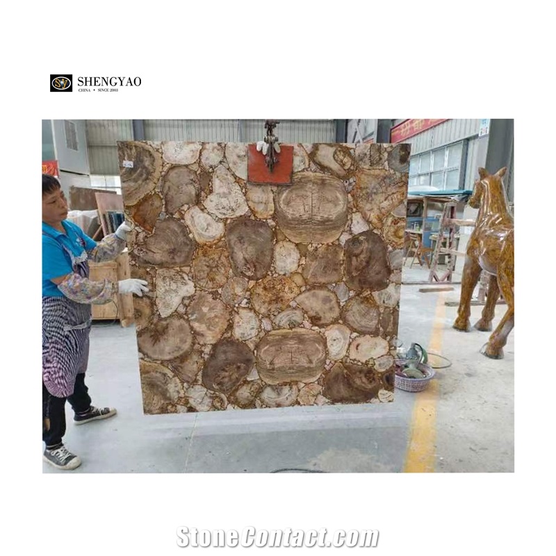 Largest Size Petrified Wood Gemstone Slabs