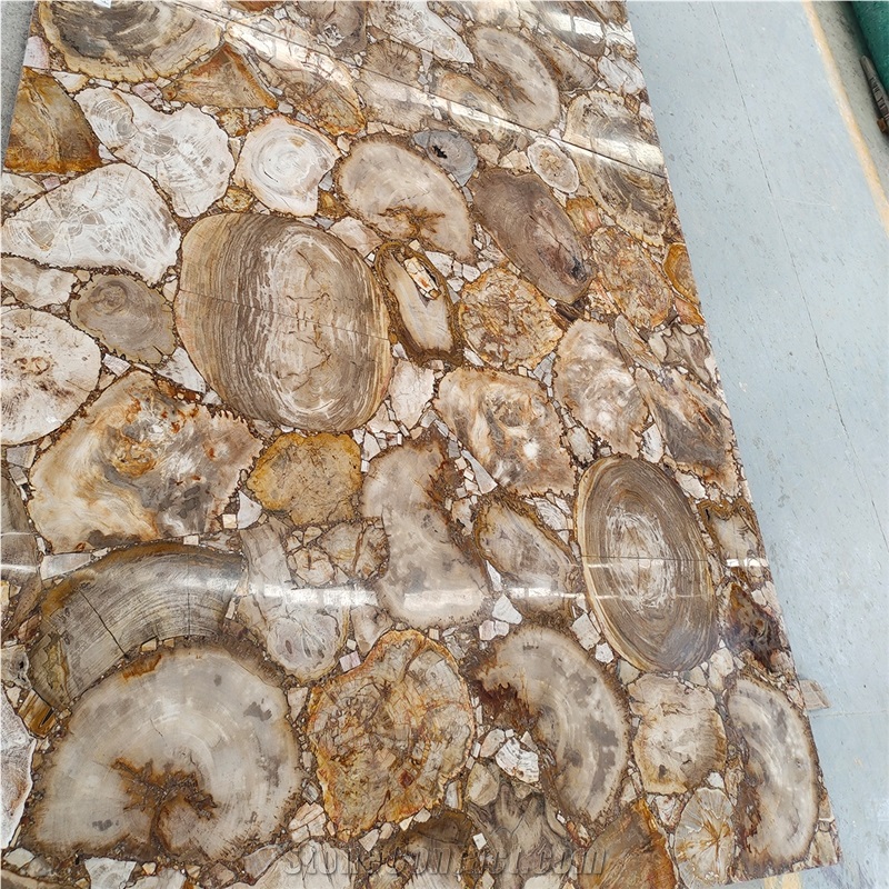 Largest Size Petrified Wood Gemstone Slabs