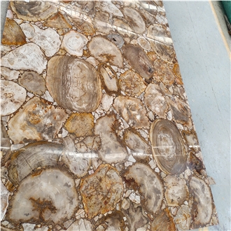 Largest Size Petrified Wood Gemstone Slabs