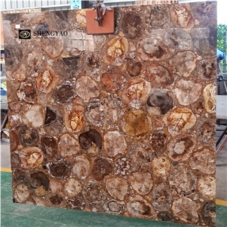 Largest Size Petrified Wood Gemstone Slabs