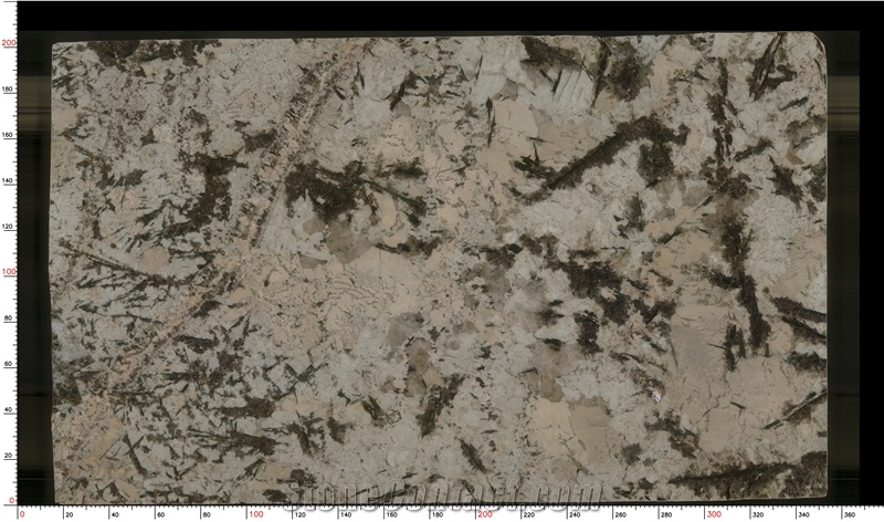 Brazil Tourmaline Granite Slabs For Interior Decoration Projects