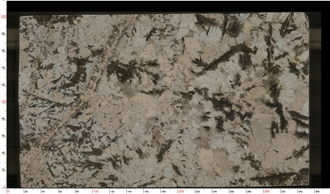 Brazil Tourmaline Granite Slabs For Interior Decoration Projects