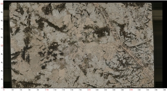 Brazil Tourmaline Granite Slabs For Interior Decoration Projects