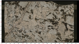 Brazil Tourmaline Granite Slabs For Interior Decoration Projects