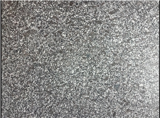 Ezine Grey Granite Honed Finish Slabs And Tiles