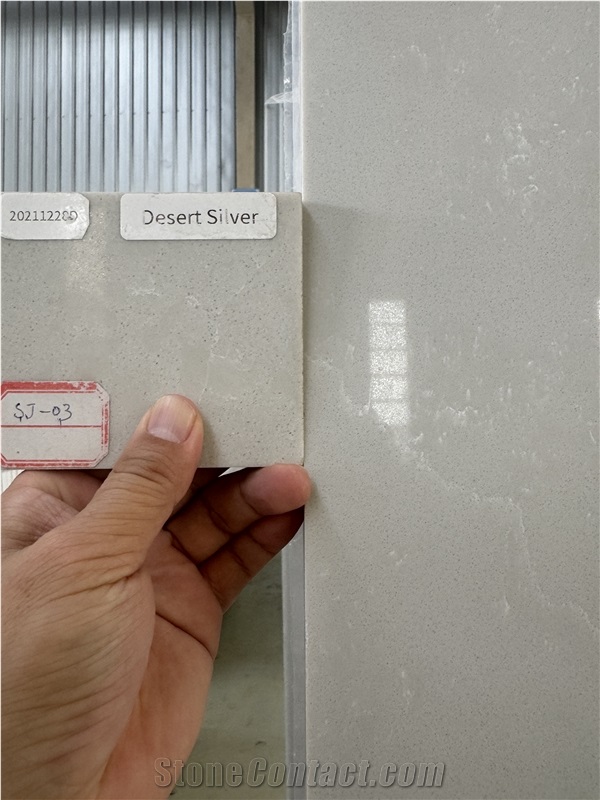 Desert Silver Quartz Slabs Polished