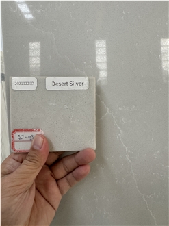 Desert Silver Quartz Slabs Polished