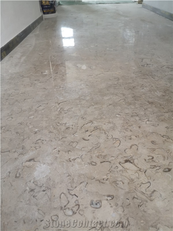 Moon Grey Polished Limestone Slab Wall Tiles