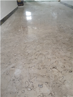 Moon Grey Polished Limestone Slab Wall Tiles