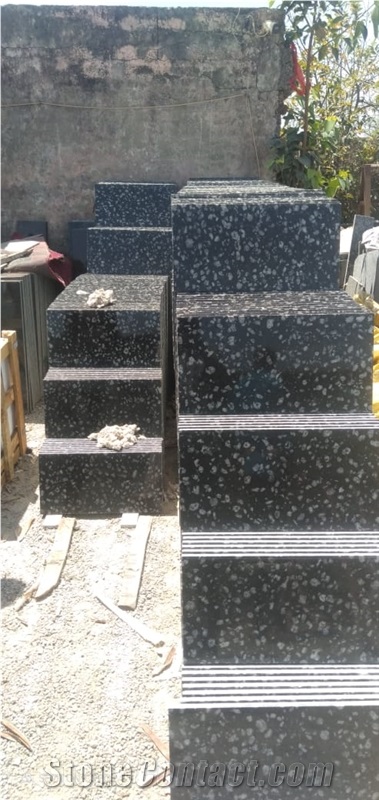 Coin Black Granite Polished Tiles For Flooring And Walls