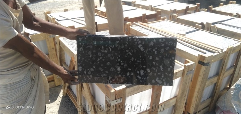 Coin Black Granite Polished Tiles For Flooring And Walls