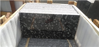 Coin Black Granite Polished Tiles For Flooring And Walls