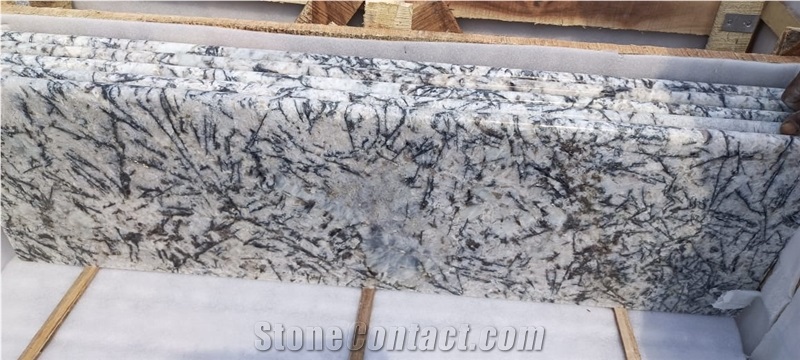 India Alaska White Polished Granite Steps