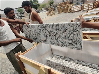 India Alaska White Polished Granite Steps