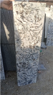 India Alaska White Polished Granite Steps