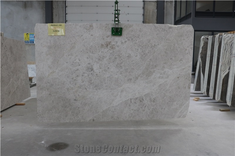 Silver Shadow - 22218 Marble Slabs