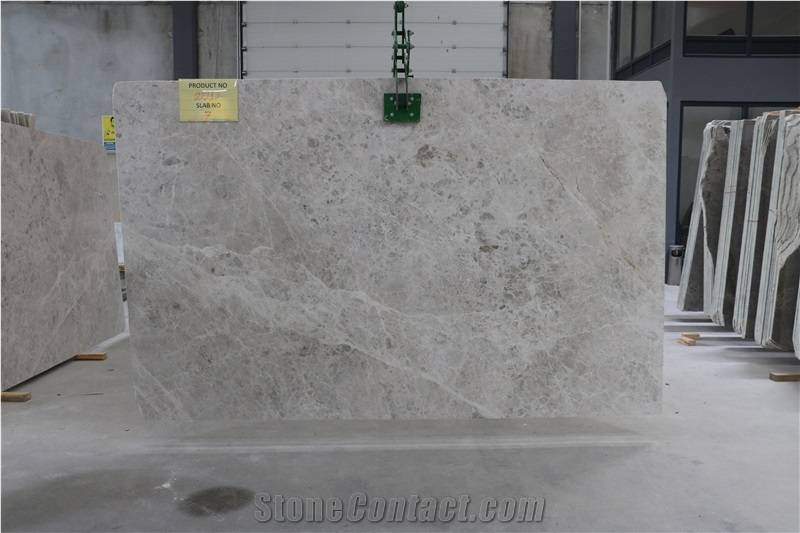 Silver Shadow - 22218 Marble Slabs