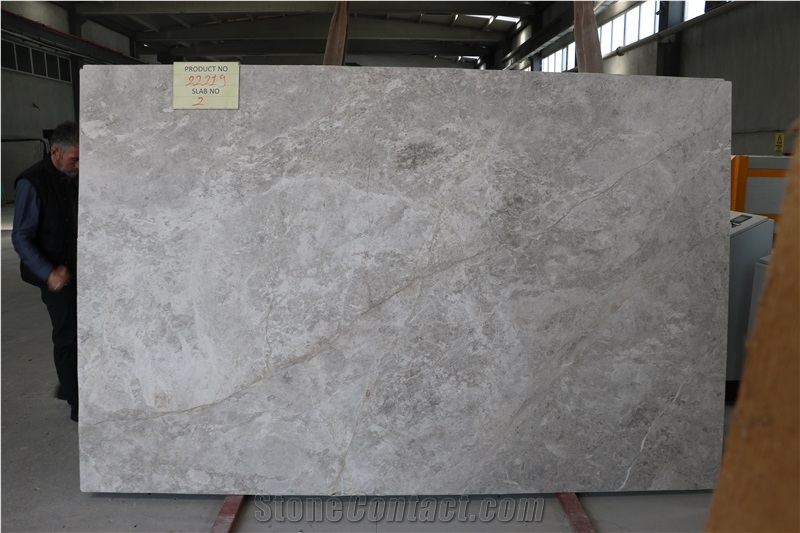 Silver Shadow Marble Slabs - 22219